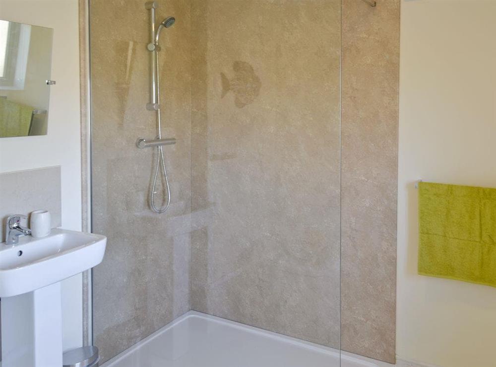 Main shower room at Kingfisher Lodge, 
