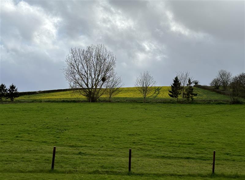 The setting around Springwell Lodge