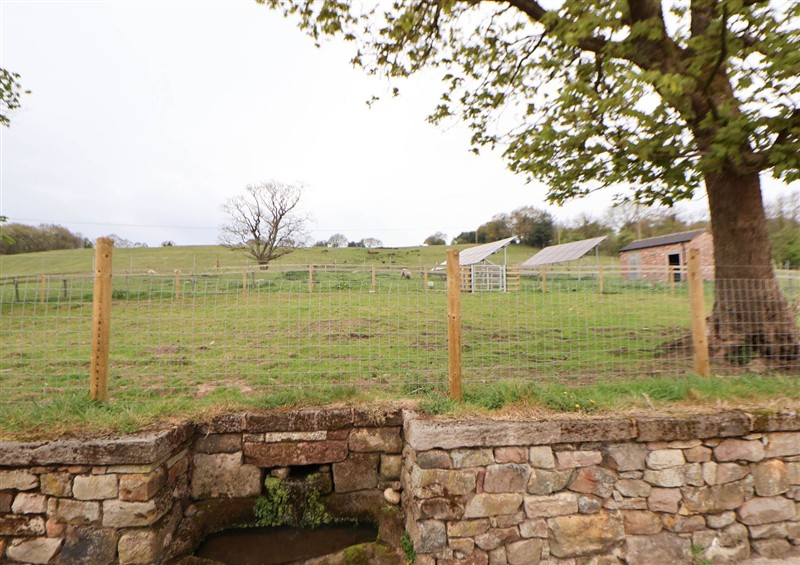 This is the garden at Sprinks Farm, Biddulph Moor