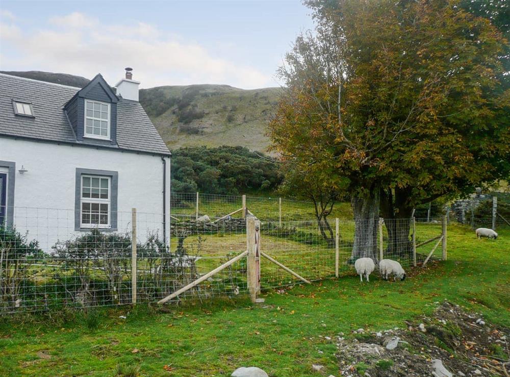 Exterior at Sqlarran Cottage in Lochranza, Isle Of Arran