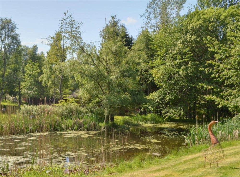 The large pond in the shared grounds is a haven for wildlife at Squirrel Cottage in North Kessock, Inverness-Shire