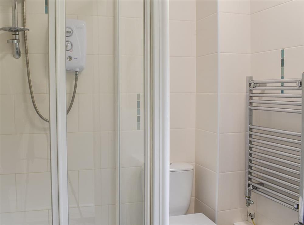 Shower room at Squirrel Creek in Callington, Cornwall