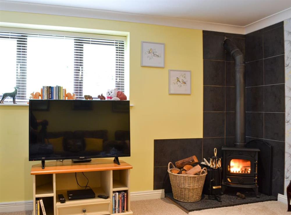 Living room with wood burner at Squirrel Lodge in Ottringham, near Hull, North Humberside