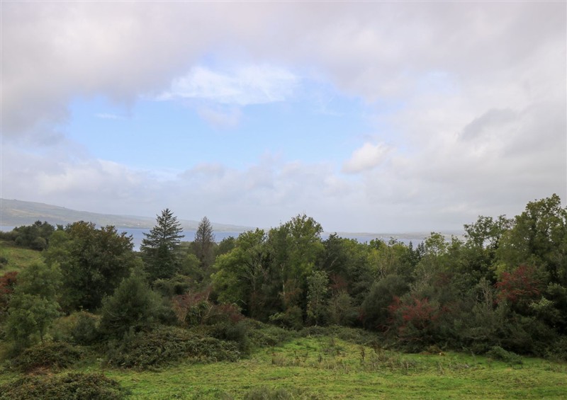 Enjoy the garden (photo 2) at Sruthan Lodge, Ballinaglera near Drumshanbo