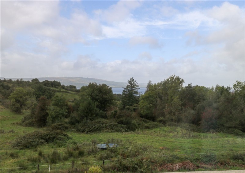 Outside at Sruthan Lodge, Ballinaglera near Drumshanbo
