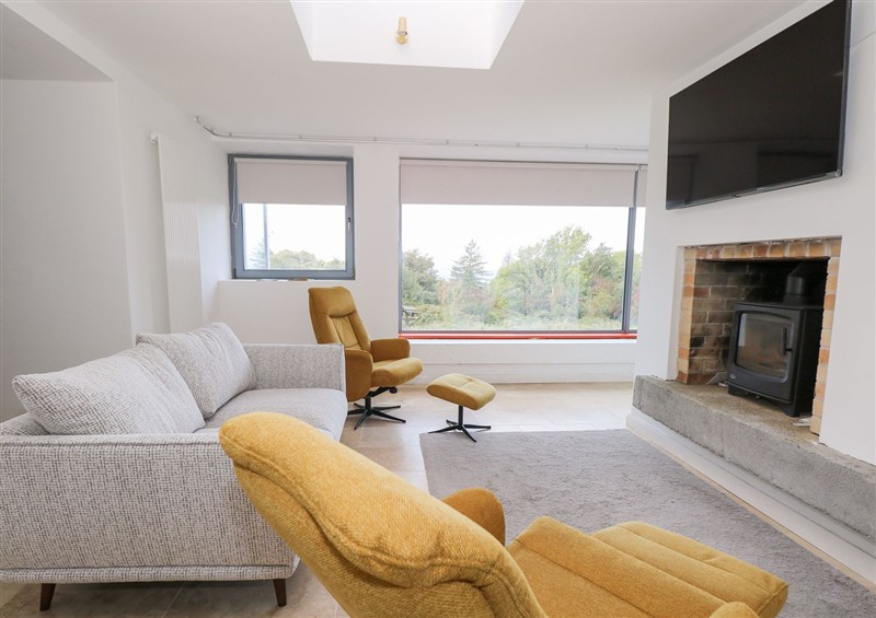 Relax in the living area (photo 2) at Sruthan Lodge, Ballinaglera near Drumshanbo