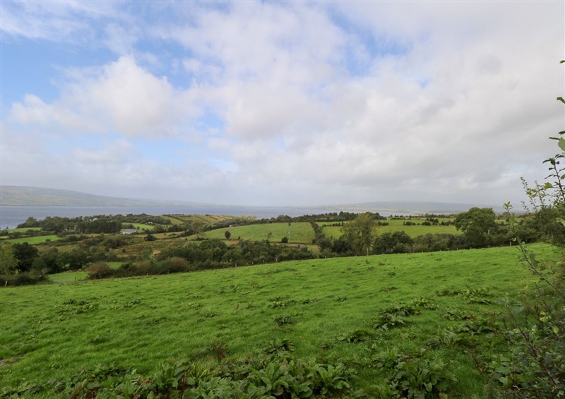 The garden in Sruthan Lodge (photo 2) at Sruthan Lodge, Ballinaglera near Drumshanbo