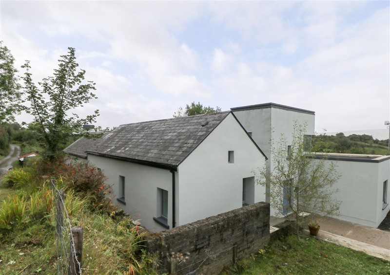 The garden in Sruthan Lodge at Sruthan Lodge, Ballinaglera near Drumshanbo