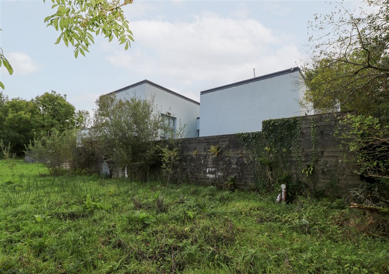 The garden at Sruthan Lodge, Ballinaglera near Drumshanbo