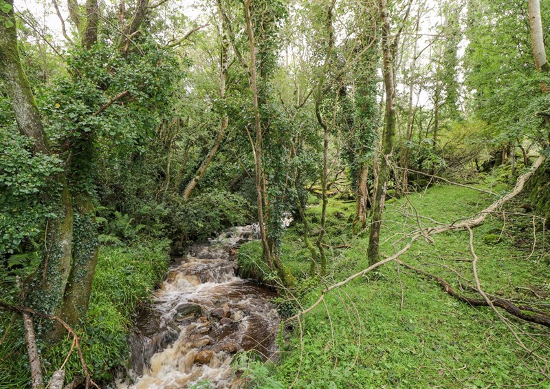 The setting (photo 2) at Sruthan Lodge, Ballinaglera near Drumshanbo
