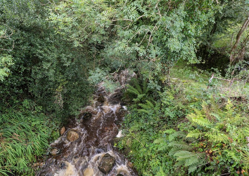 The setting at Sruthan Lodge, Ballinaglera near Drumshanbo