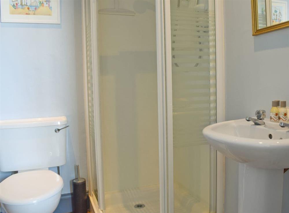 Modern en-suite shower cubicle, toilet and heated towel rail
