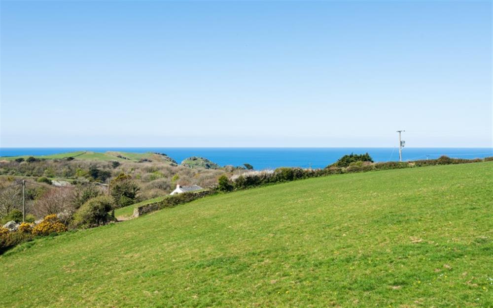 Beautiful sea view can be admired via a short woodland walk from house