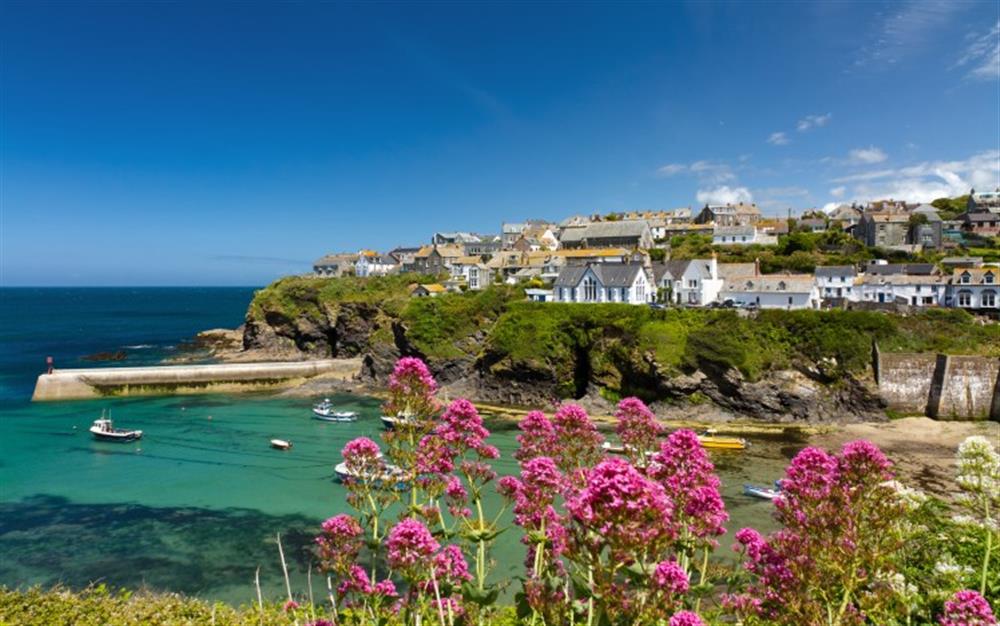 Port Isaac only 12 miles south of St Brychan