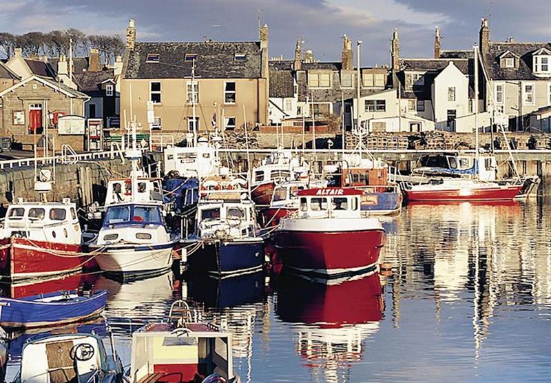 Arbroath Harbour at St Cyrus Park in Aberdeenshire, Northern Highlands