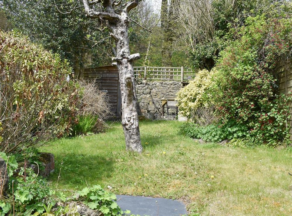 Garden (photo 2) at St James Cottage in Shaftersbury, Dorset