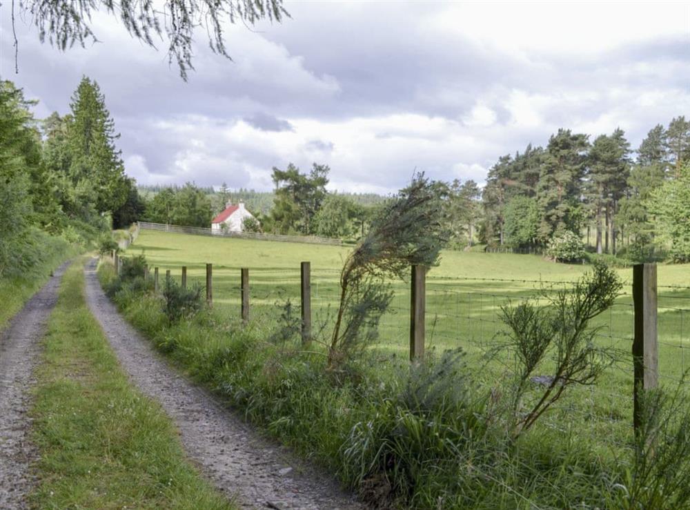 Picturesque scenery at St Orans in Dunphail, near Forres, Highlands, Morayshire