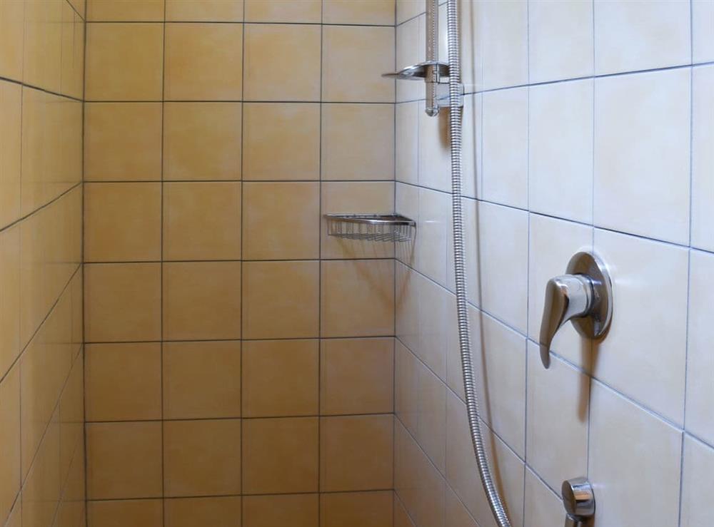 Wet room with shower, toilet and heated towel rail