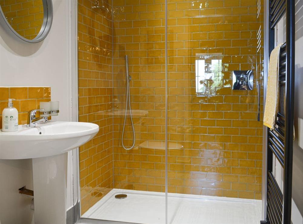 Shower room at Stabl in Bethania, near Aberaeron, Cardigan, Dyfed