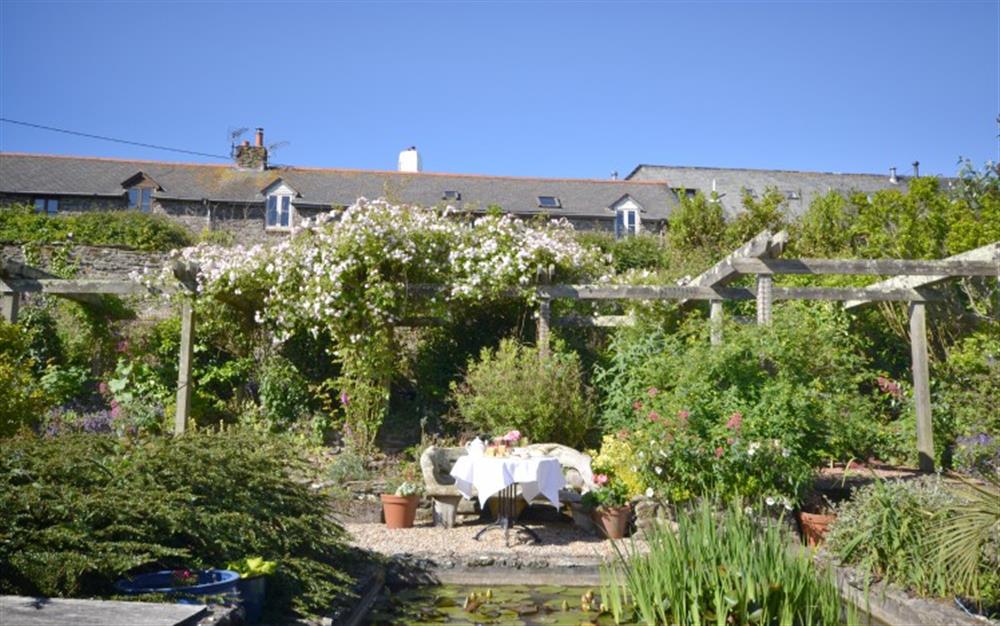 This is the garden at Stable Barn Cottage in East Prawle