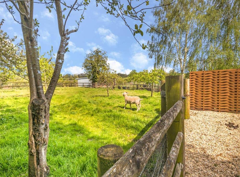 Surrounding area (photo 2) at Stable Cottage in Great Ryburgh, near Fakenham, Norfolk