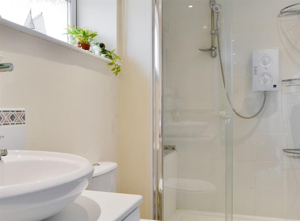 Shower room with heated towel rail at Stable Cottage in Gunville, near Newport, Isle of Wight