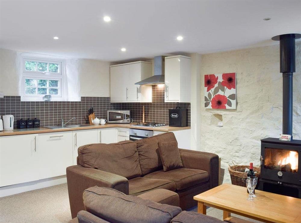 Cosy open plan living space at Stable Cottage in Ivy Court Cottages, Llys-y-Fran, Dyfed