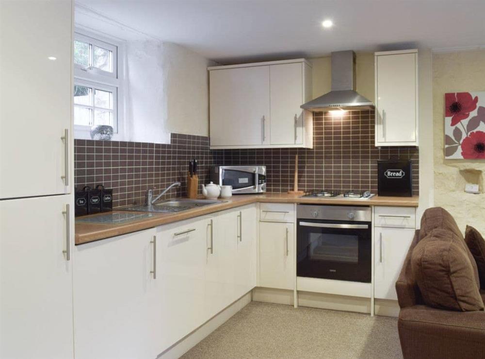well-equipped fitted kitchen at Stable Cottage in Ivy Court Cottages, Llys-y-Fran, Dyfed