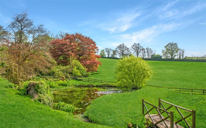 Rural landscape