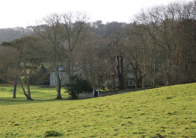 Enjoy the garden (photo 2) at Stable Cottage, Wroxall