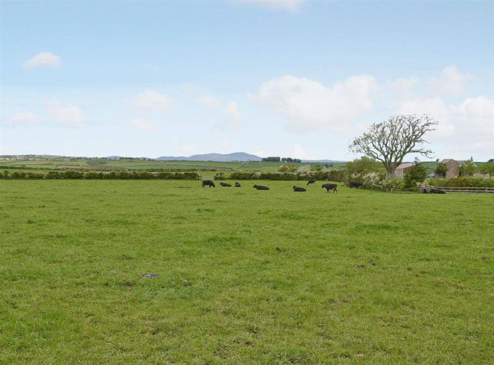 View at Stackgarth in Arkleby, near Aspatria, Cumbria