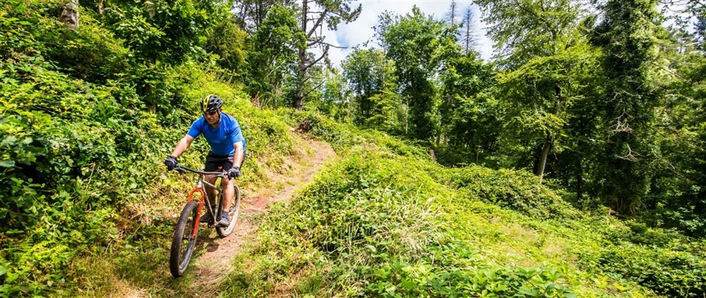 A man on a mountain bike riding through lush green woodlands at Stackpole Manor House in Pembroke, Pembrokeshire