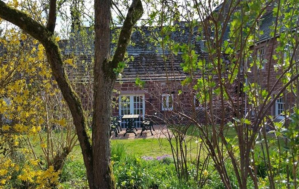 Private front and rear gardens as well as full access to 20 acres of woodland walks (photo 2) at Stag Cottage, Melmerby