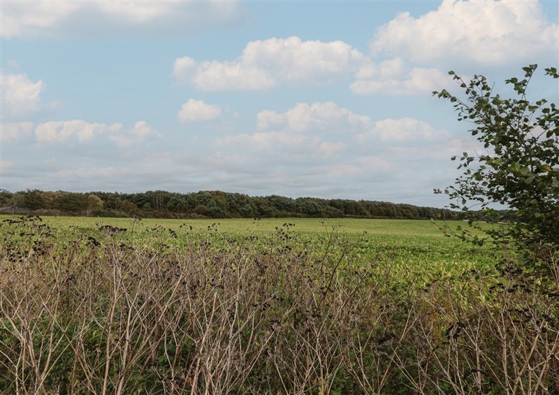 Rural landscape at Stag Lodge, Caravan 70, Fritton near Belton