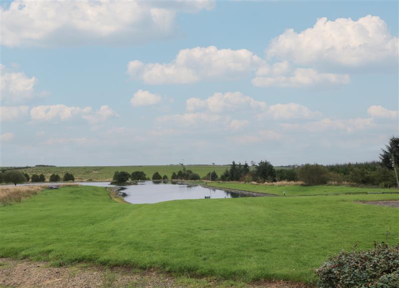 Rural landscape