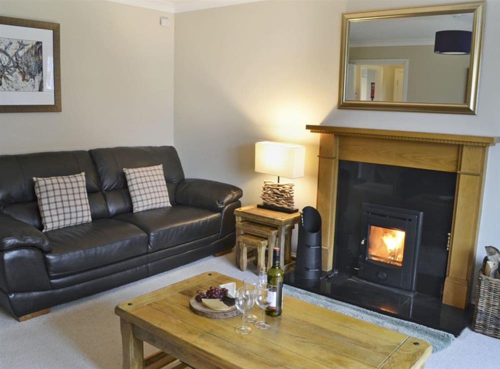 Warm and welcoming living room (photo 2) at Stags Neuk in Aviemore, Scottish Highlands, Inverness-Shire