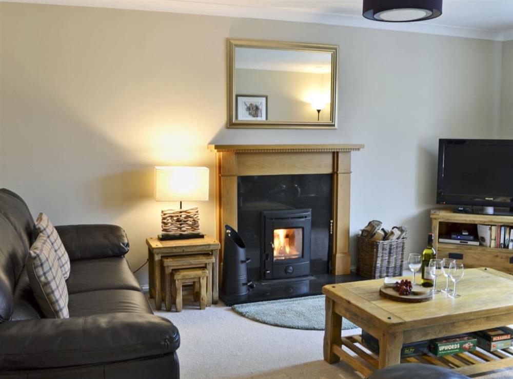 Warm and welcoming living room at Stags Neuk in Aviemore, Scottish Highlands, Inverness-Shire