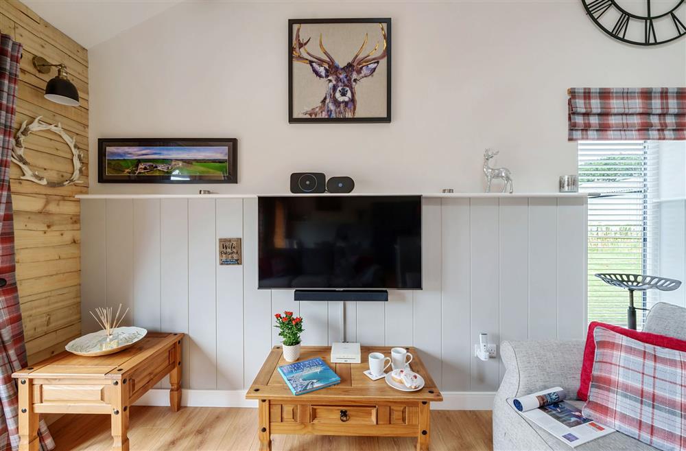 The sitting area with Smart television at Stags Retreat, Sherborne