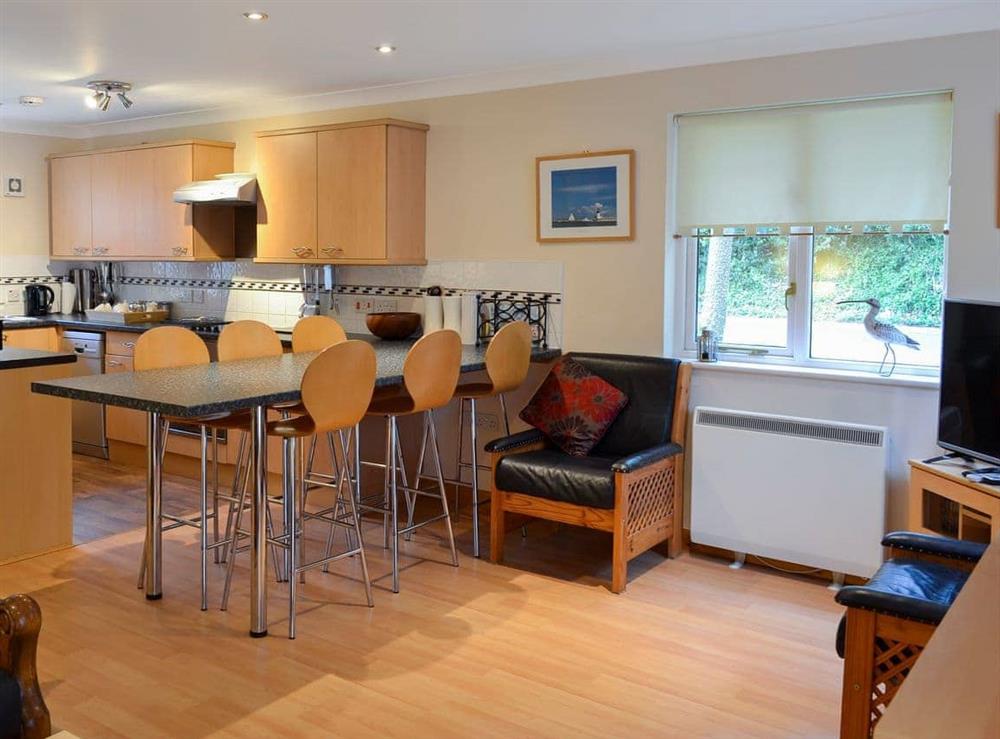 Open plan living space at Star Gazy in Pendra Loweth, Falmouth, Cornwall