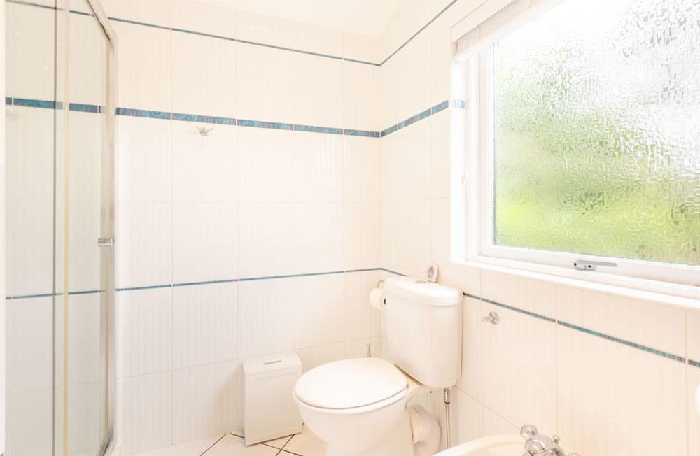 Shower room (photo 2) at Star Lodge in Yanwath, near Pooley Bridge, Cumbria
