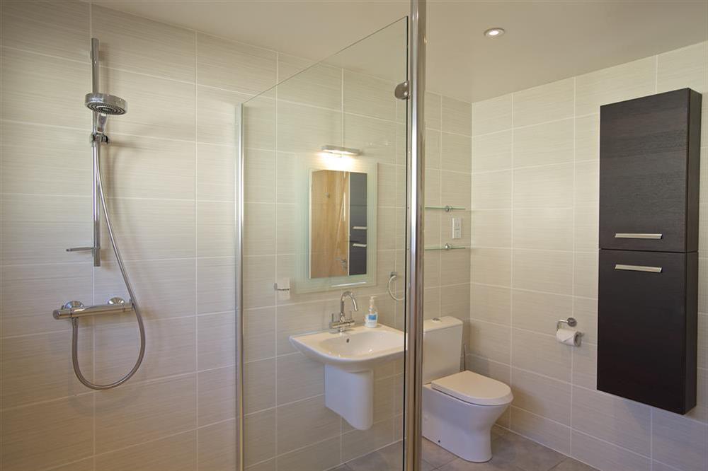Ground floor shower room with walk in shower (photo 2) at Starboard Light in Malborough, Salcombe