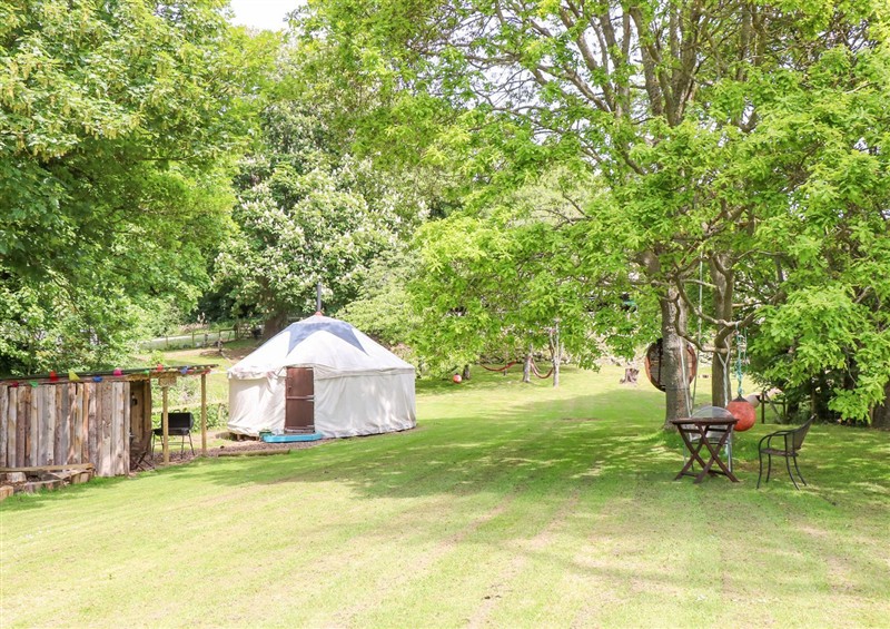 Enjoy the garden at Stardust, Ventnor