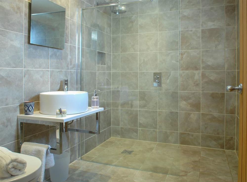 Shower room at Stargazer in Modbury, near Ivybridge, England