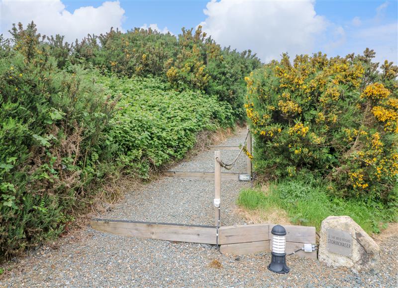 The area around Stargazer