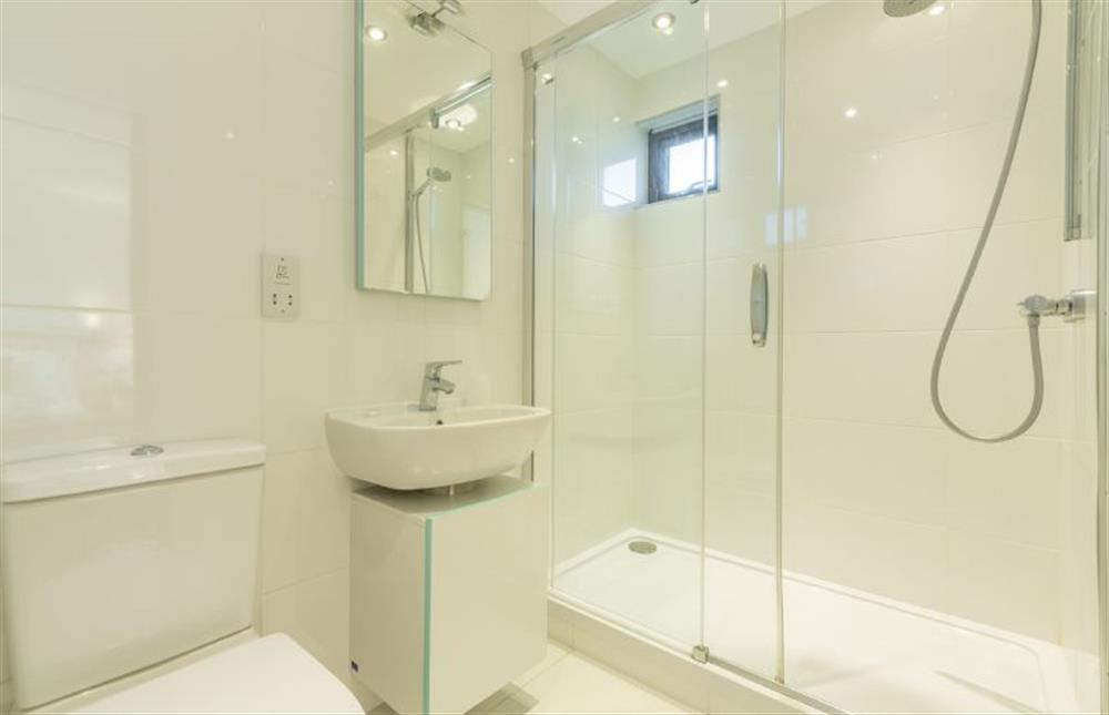 Large walk-in shower, wash basin and WC at Stargazy, Chapel Porth, St Agnes