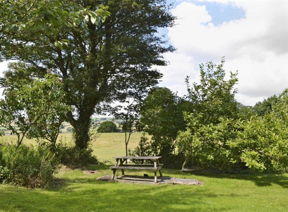 Large enclosed garden at Steep Holm in Kingswood, near Kington, Herefordshire