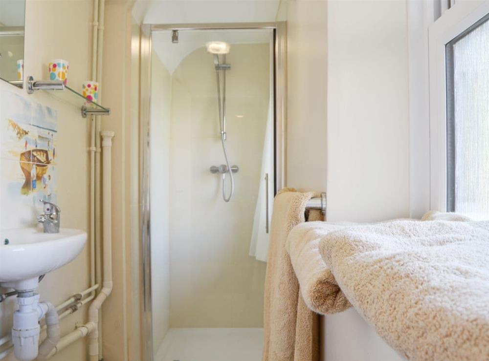 Shower room with cubicle at Steephill Lodge in Ventnor, Isle of Wight