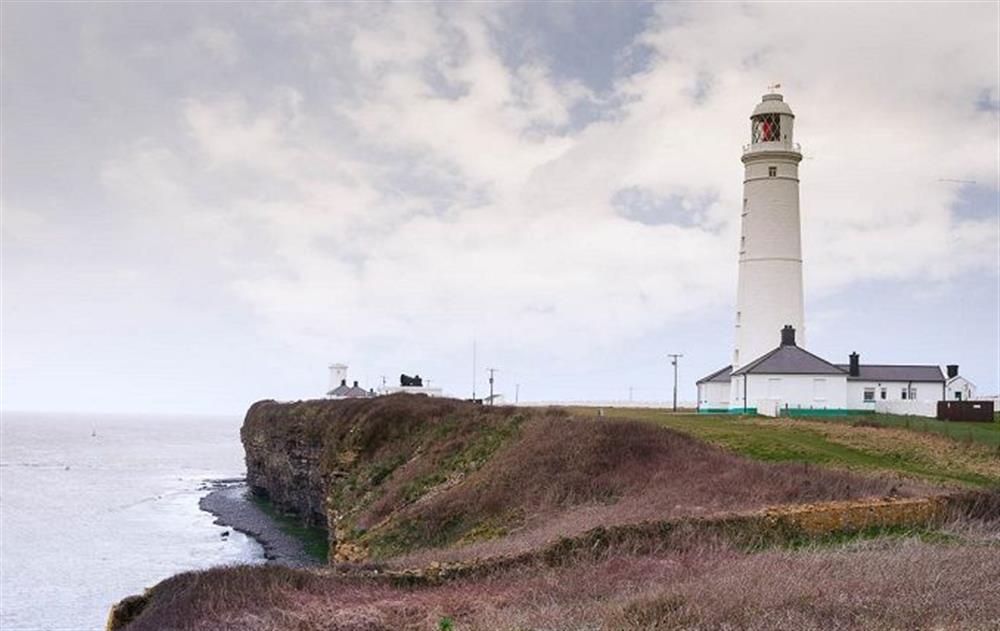 Stella and Ariel are next to the largest tower at Stella, Nash Point Lighthouse