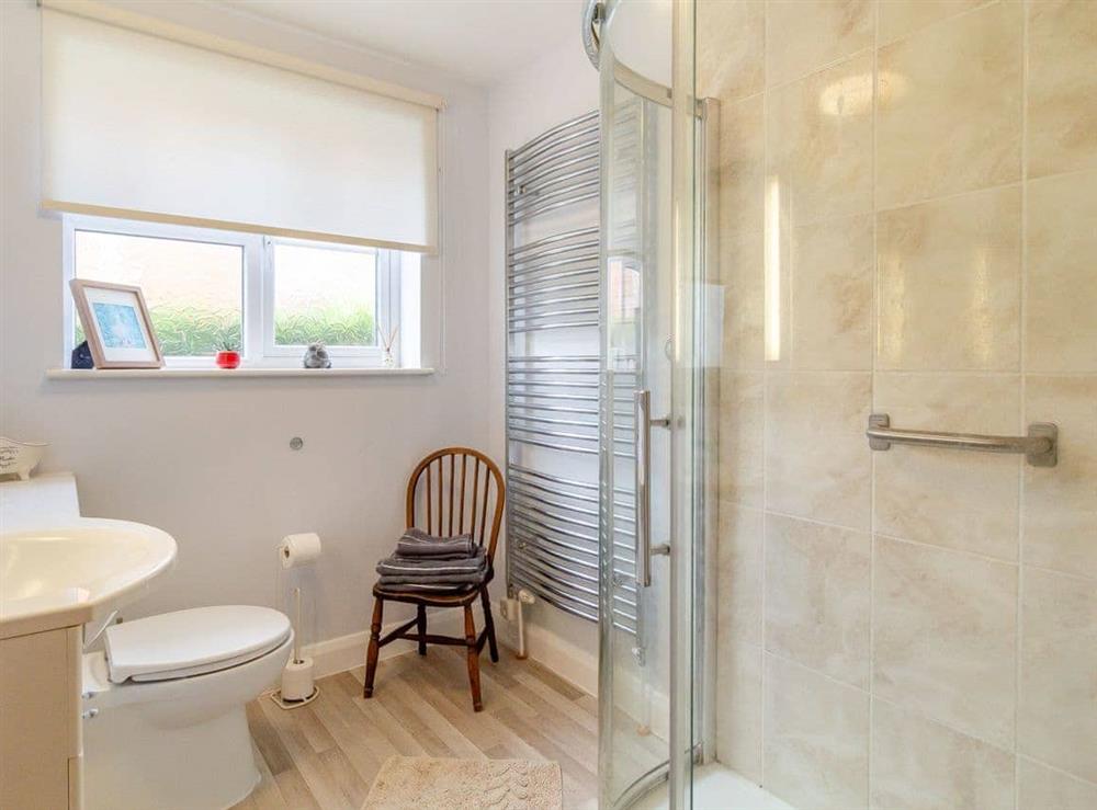 Shower room at Stellas Retreat in Loddon, Norfolk
