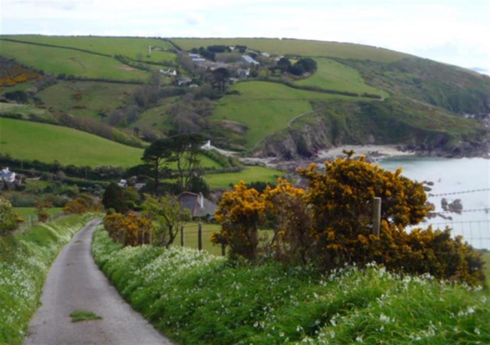 Part of the coastal walk past Talland Bay at Step-A-Side in Looe